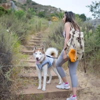 Kurgo Core Cooling Vest Icy Blue product name