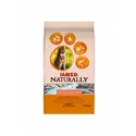 IAMS Naturally Adult Salmon & Rice Kat 2 x 2,7 kg