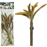 Back Zoo Nature Setaria Italica - 50 gram product name