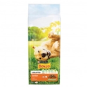Bonzo Senior 15 kg