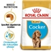 Royal Canin Cocker Junior 3 x 3 kg