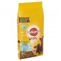 Pedigree Junior Maxi 15 kg