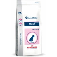 product name