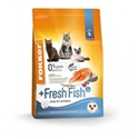 Fokker Adult +Fresh Fish Kat 7 kg