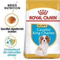 Royal Canin Cavalier King Charles Spaniël Junior 1,5 kg