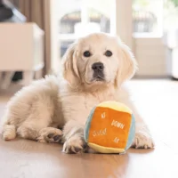 Beeztees Puppy Knuffel Kubus Beeztees Puppy Knuffel Kubus