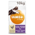 Iams Kitten & Junior Kip 10 kg