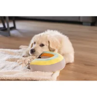 Beeztees Puppy Knuffel Regenboog Joie Beeztees Puppy Knuffel Regenboog Joie