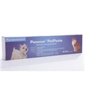 Panacur PetPaste 1 injector