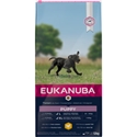 Eukanuba Puppy & Junior Large Breed Kip 3 kg