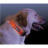 NiteDawg Lichtgevende Halsband Hond Small