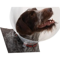 Buster Transparent Classic Collar - Maat 2 product name