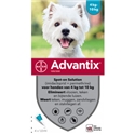 Advantix 100/500 Hond 4-10 kg 4 pipetten