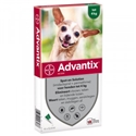 Advantix 40/200 Hond tot 4 kg 4 pipetten