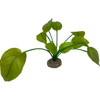 Aqua Della Anubias - Groen - 17 cm product name