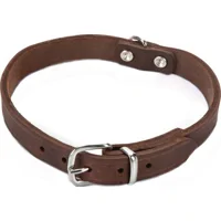 Beeztees Halsband Hond Leer - Bruin - 62 cm x 25 mm Beeztees Halsband Hond Leer - Bruin - 62 cm x 25 mm