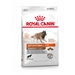 Royal Canin Energy 4300 15 kg