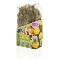 Esve Kruid: Paardenbloem - 100 g product name