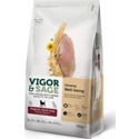 Vigor&Sage Hondenvoer Regular Well-Being Ginseng 12 kg