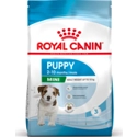 Royal Canin Mini Junior 8 kg