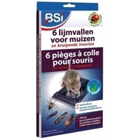 6 Lijmvallen Voor Muizen En Kruipende Insecten - Doeltreffend - Ook tegen insecten - Verpakt per 6 product name