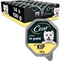 14x Cesar Alu Kip 150 gr