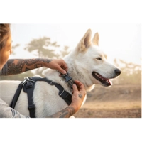 Ruffwear Hondenhalsband Front Range™ Collar, basalt grey, Maat: 28cm-36cm product name