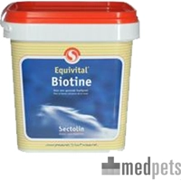 Sectolin Biotine 1 kg product name
