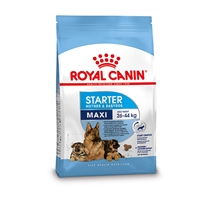 Royal Canin Maxi Starter Mother and Babydog 4 kg