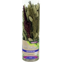 Esve Pet Bouquet Koker Equator - 1 stuks product name