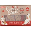 Rosewood Cupid&Comet Traktatiedoos Natural hondensnacks 175 gram