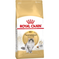 Royal Canin Norwegian Forest Cat Adult - 400 g product name