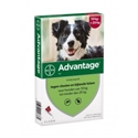 Advantage 250 Hond 10-25 kg 4 pipetten