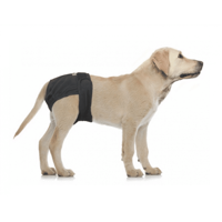 Vetlando XL - 63-78 cm product name