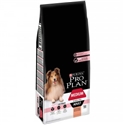 Proplan Adult Sensitive Zalm & Rijst 14 kg