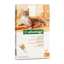 Advantage 80 Kat 4-8 kg 4 pipetten