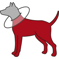 TRIXIE Beschermkraag voor honden, grijs, Maat: L-XL TRIXIE Beschermkraag voor honden, grijs, Maat: L-XL