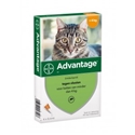 Advantage 40 Kat tot 4 kg 4 pipetten