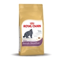 Royal Canin British Shorthair Adult 10 kg