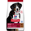 Hill's Science Plan Hond Adult Large Breed Lam&Rijst 14kg