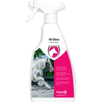 Excellent Clean Spray 500 ml product name