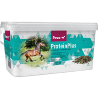 Pavo ProteinPlus - 7 kg product name