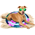 Coolpets Tropical Premium koelmat flower hond Diameter: 65cm