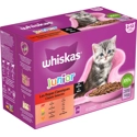 Whiskas Junior Classic Selectie in saus multipack (12 x 85 g) 1 verpakking (12 x 85 g)