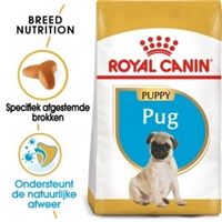 Royal Canin Pug (mopshond) Junior 1,5 kg