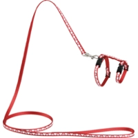 Beeztees Hearts Kittentuigje - Rood - 120 cm x 10 mm product name