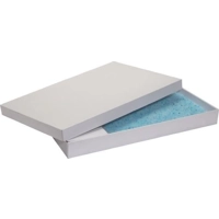 Petsafe ScoopFree Kristallen Kattenbakvulling Wegwerptray product name