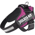 Julius K9 IDC Powertuig Maat 1 Roze