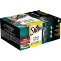 Sheba Délices du Jour met kip, kalkoen en eend in saus natvoer kat (50g) 100 x 50 g