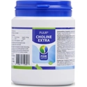 PUUR Choline extra hond 100 gram